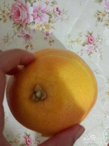 怎麼掰柚子方便