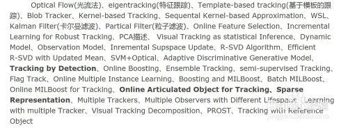 視覺跟蹤近年來的進展（2010年以前）