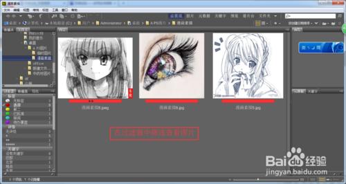 Adobe--Bridge cs6 使用攻略：[4]加星加標籤