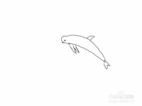 手繪塗鴉系列之怎樣畫海豚