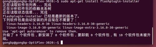 ubuntu如何安裝 adobe flash player或adobe外掛