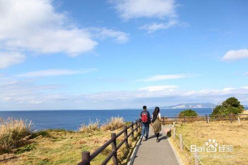 教你國際海運搬家小妙招，相隔萬里也能成功到達