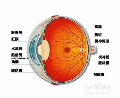 視力減退！糖尿病所發出的“求救”訊號