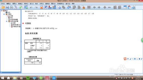 SPSS信度分析步驟