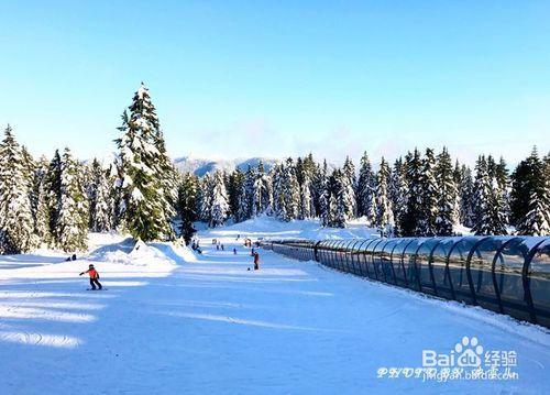 溫哥華西摩山學滑雪