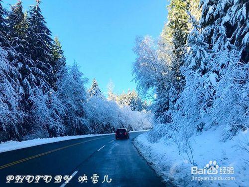 溫哥華西摩山學滑雪