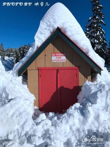 溫哥華西摩山學滑雪