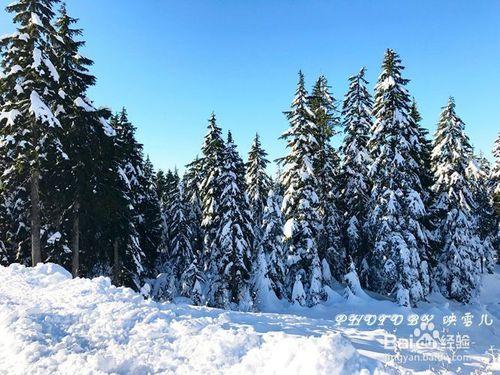 溫哥華西摩山學滑雪