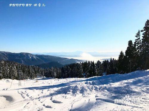 溫哥華西摩山學滑雪