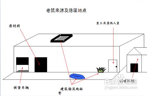 專業滅鼠方法