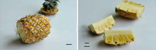 怎樣削菠蘿皮削菠蘿皮的小方法