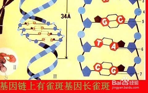 去雀斑用什麼方法最徹底