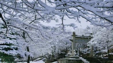 蒙山國家森林公園攻略