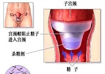 學會科學坐月子