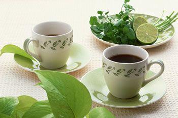 自制春季各種保健養生茶