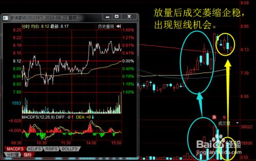 量比是什麼意思