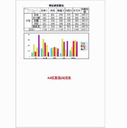 圖表製作軟體FineReport教程：[11]頁面設定