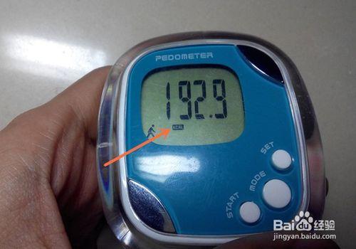 PEDOMETER脂肪測試儀計步器功能實用