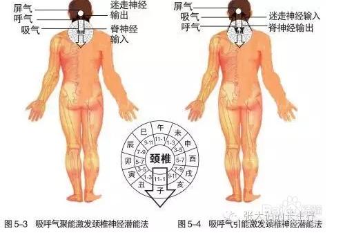 科學啟用潛能法激發治療頸椎潛能法