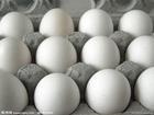 蛋殼顏色為什麼會變白