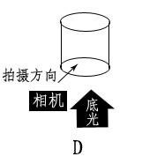 掌握用光技巧讓你的圖片變漂亮